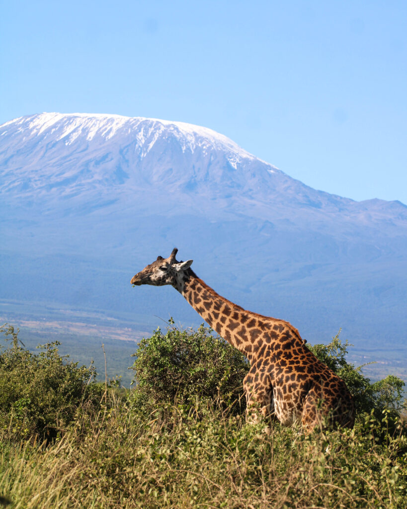4 Denní Tsavo East, Amboseli a Taita Safari